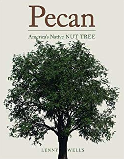 pecan nut tree