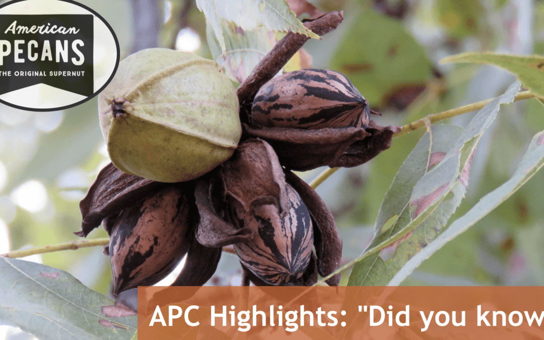 Conference 2021 – Update from the American Pecan Council