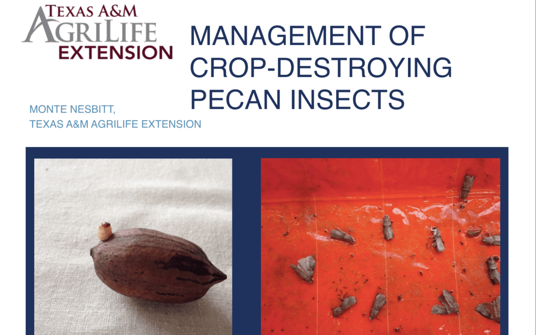 Conference 2021 – Management of Crop-Destroying Pecan Insects, Monte Nesbitt