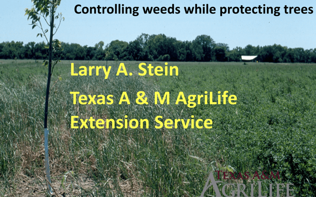 Conference 2021 – Controlling Weeds While Protecting Trees, Larry Stein